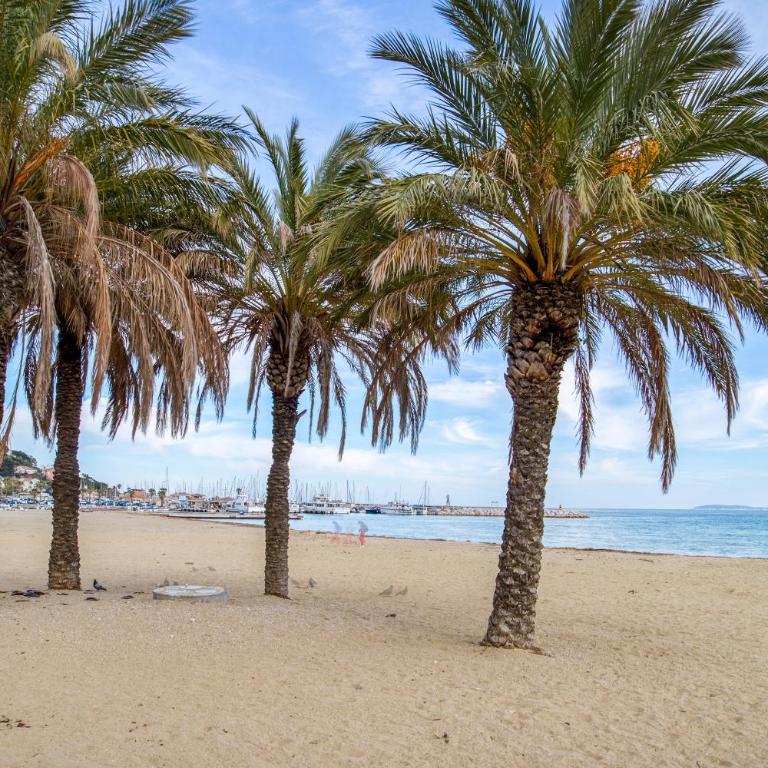 Nouvelle Ère - Appt à moins d’un km de la plage - Appartamento con 2 Camere da Letto - 13