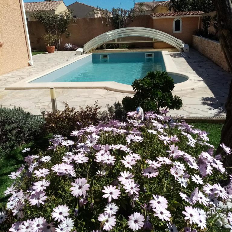 2 Chambres avec piscine et spa au calme, mer à proximité. - Chambre Double - Vue sur Piscine - 2