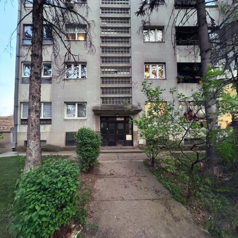 Sunny Apartment - Two-Bedroom Apartment - 2