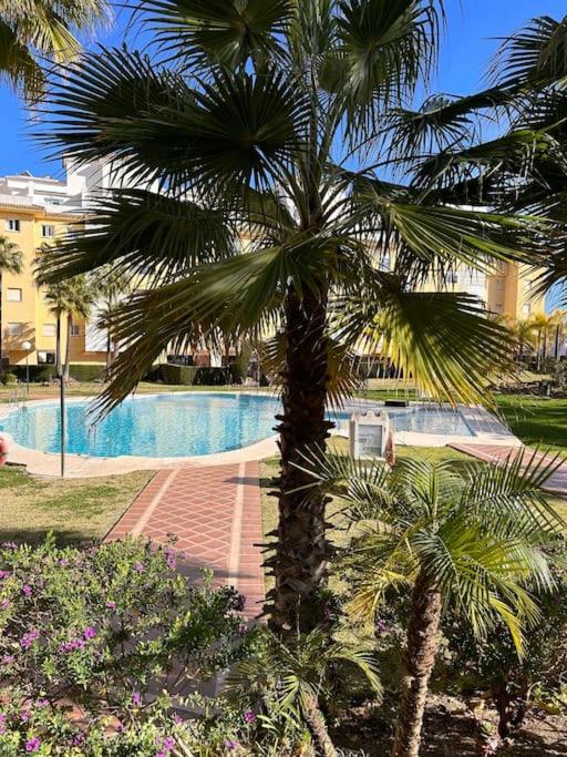 Jardin Botánico - Apartment with Sea View - 43