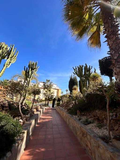 Jardin Botánico - Apartment with Sea View - 42