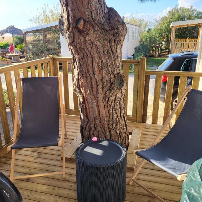 Mobil Home spacieux Camping Mar Estang 4* - Casa Mobile - 8
