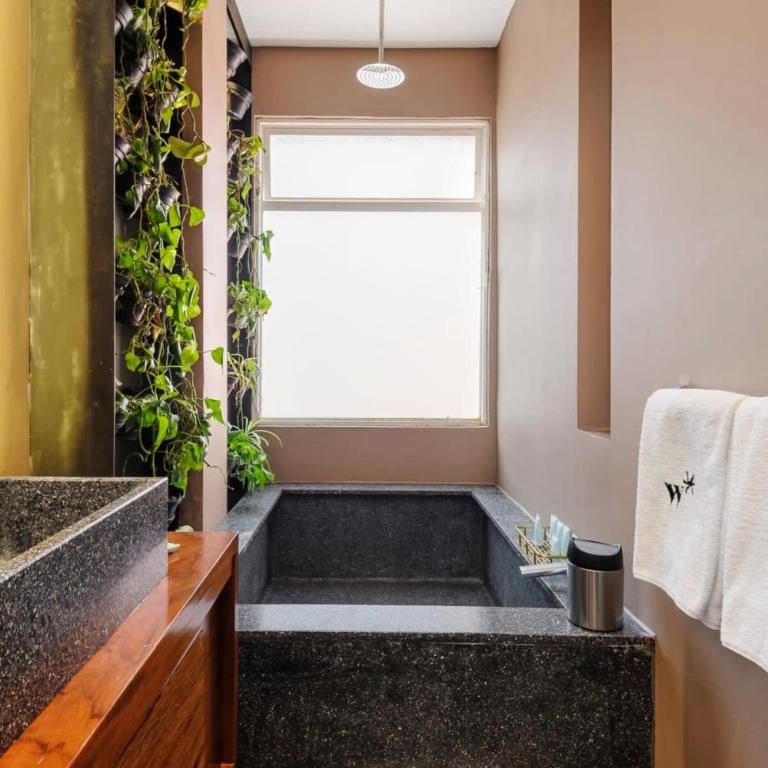 Authentic 1BR in Polanco - Majestic 1BR in Polanco - 14