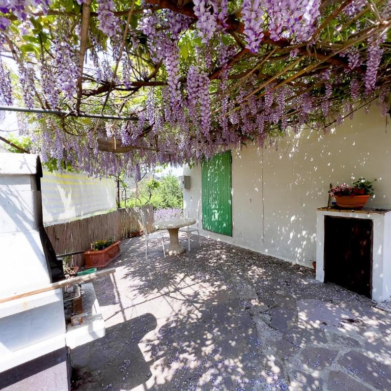 Chez Choucas Maison e Maisonette - Goelba - One-Bedroom Apartment - 1