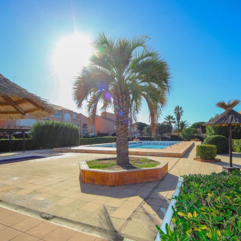Le Sénérité Piscine Proche Plage Palavas Parking - Studio - Vue sur Piscine - 4