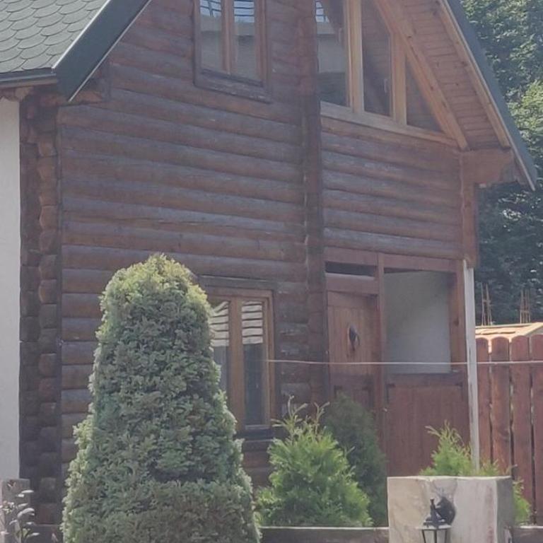 Lodge House Tara - Brvnara sa 3 Spavaće Sobe - 52