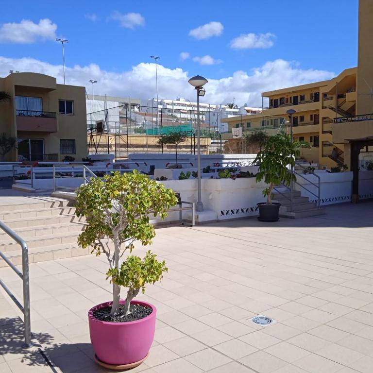 Firstline apartment Los Cristianos - Apartamento de 1 dormitorio - 17