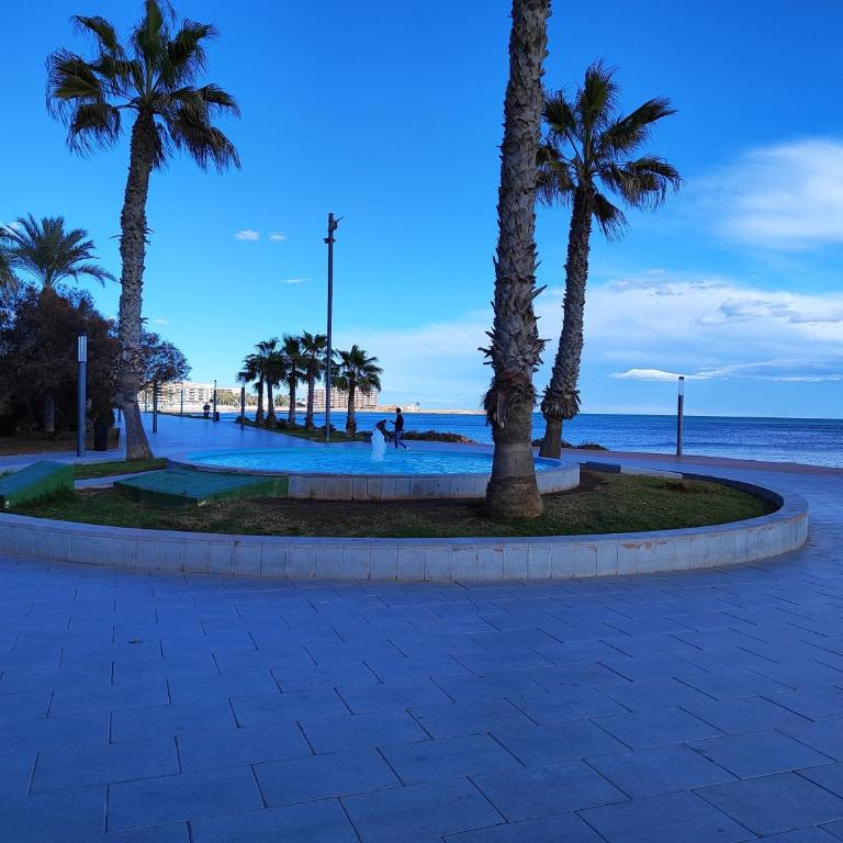 Schöne Wohnung mit Pool und Parking, 50m zum Strand, Torrevieja Spanien - Apartment - 20