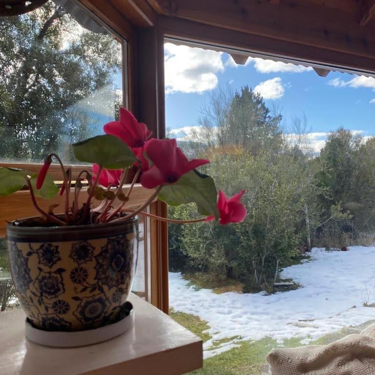 Hermosa cabaña al pie del Cerro Ventana - Casa de 2 dormitorios - 5