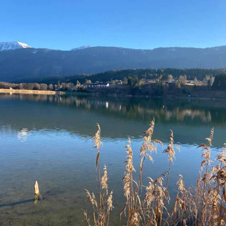 Entspannen im Holzchalet mit Panoramablick, Ruhe und Infrarotsauna - Apartment mit 2 Schlafzimmern - 27