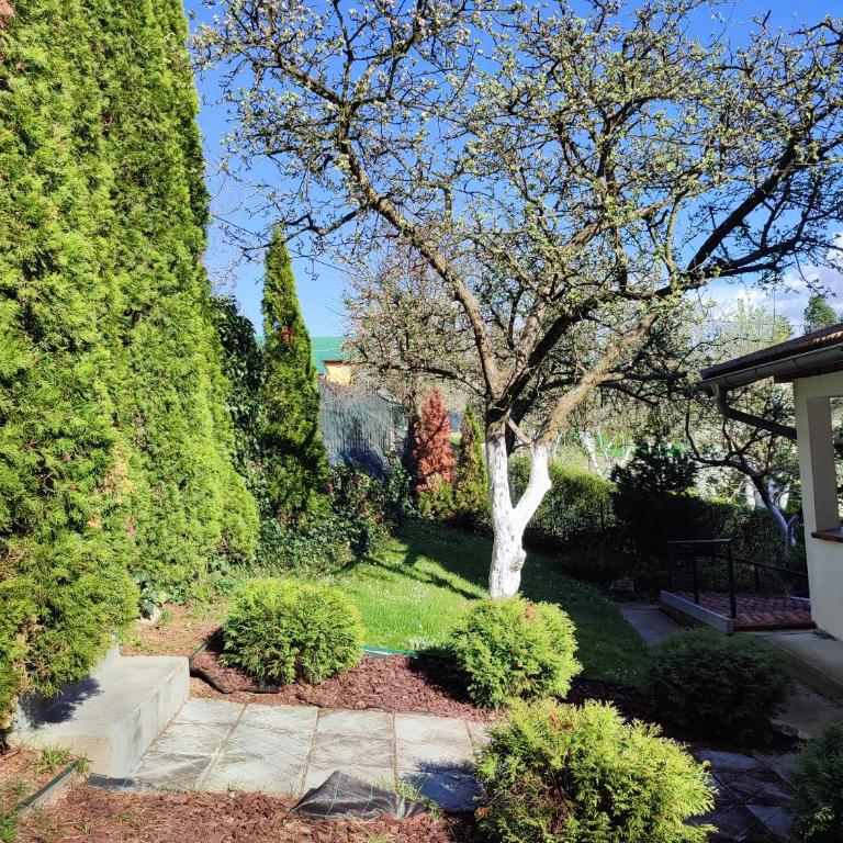 Garden House - Kuća sa 4 Spavaće Sobe - 33