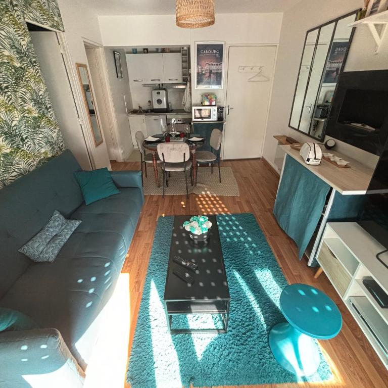 Splendide appartement 40m2 familial cabourg - Apartment mit 2 Schlafzimmern - 19
