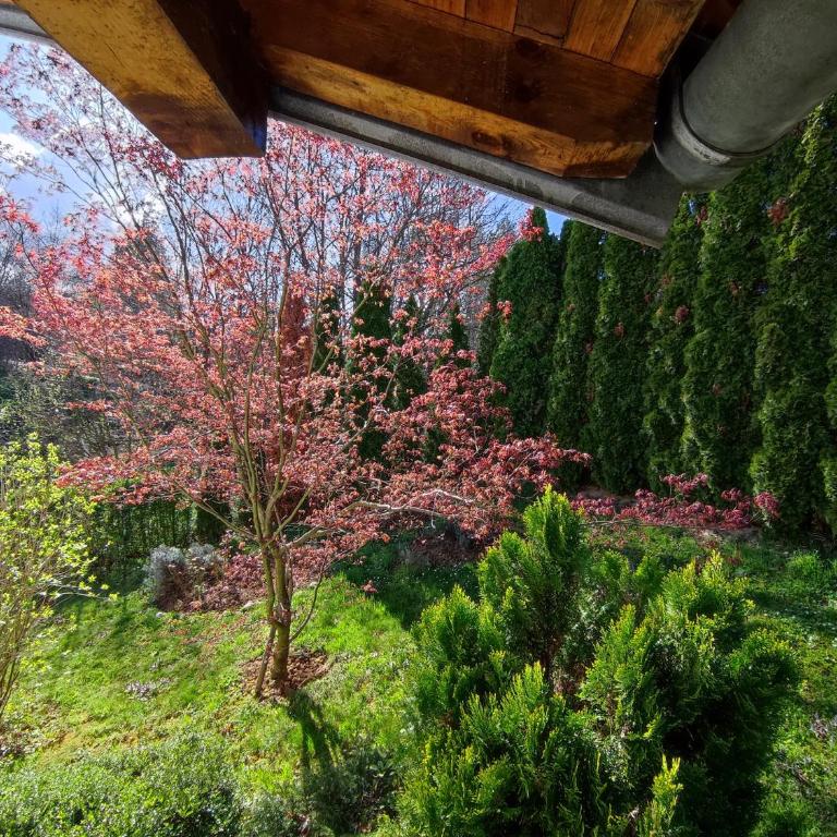 Garden House - Kuća sa 4 Spavaće Sobe - 35