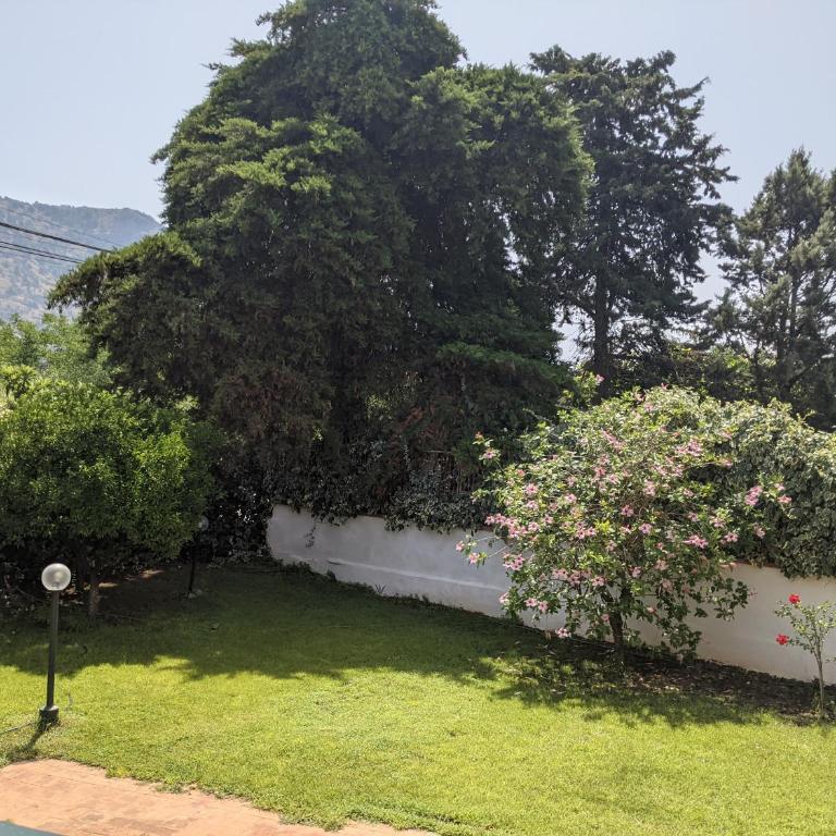 Rosalba apartments - cheap and characteristic - Appartamento con 2 Camere da Letto - 9