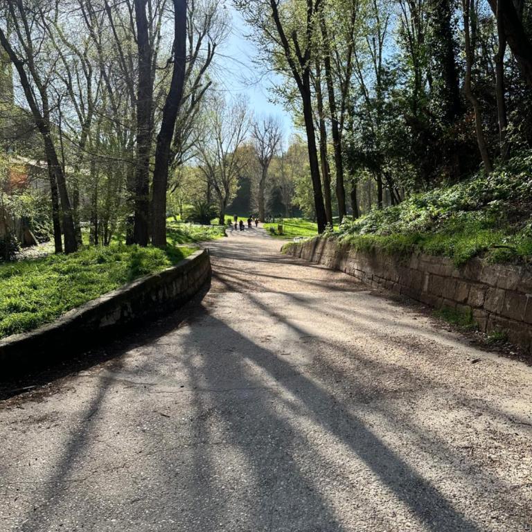 Olimpia Villa Pamphili - Centro Storico di Roma - Gianicolo Trastevere San Pietro - Appartamento con 2 Camere da Letto - 26