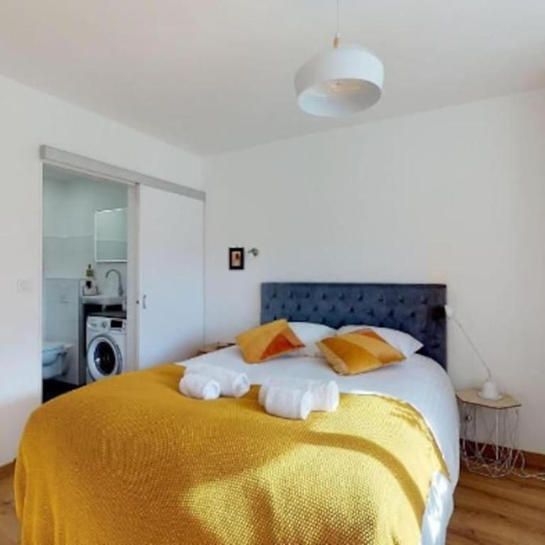Le Delicious avec Terrasse - Hyper Centre - Apartment mit 1 Schlafzimmer - 25