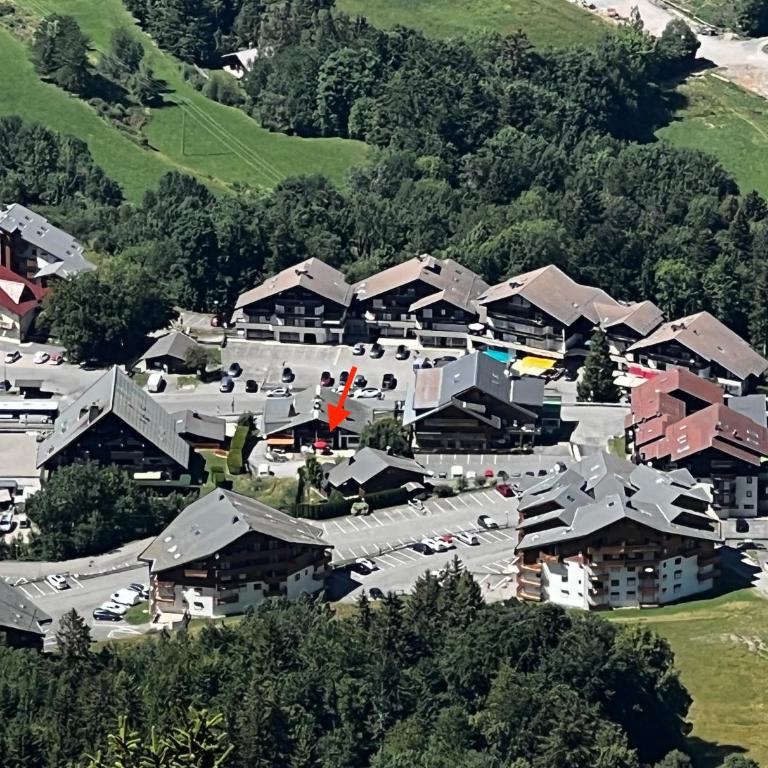 "Chez Muttie" At the heart of Thollon Resort between lake and mountain - Appartement 2 Chambres - 5
