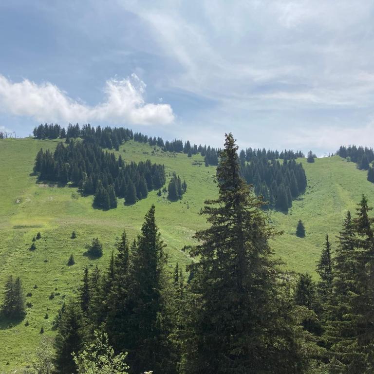 "Chez Muttie" At the heart of Thollon Resort between lake and mountain - Appartement 2 Chambres - 51