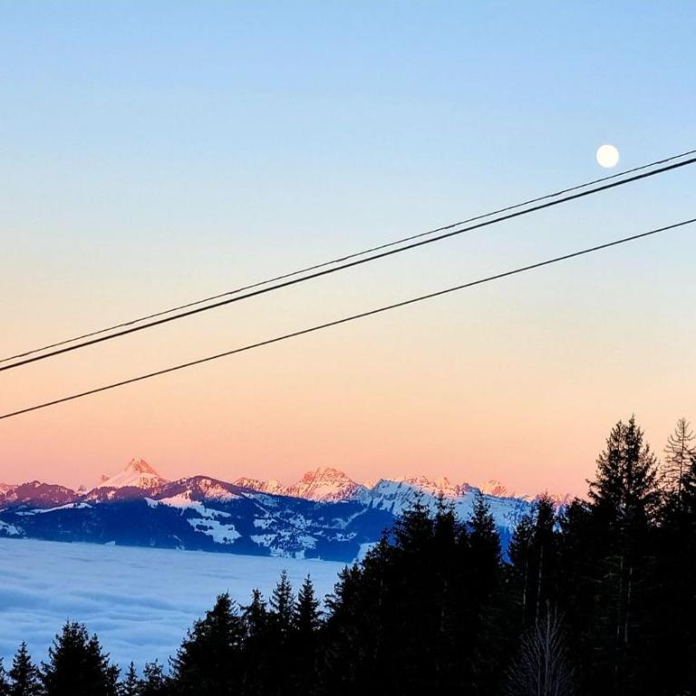 "Chez Muttie" At the heart of Thollon Resort between lake and mountain - Appartement 2 Chambres - 55