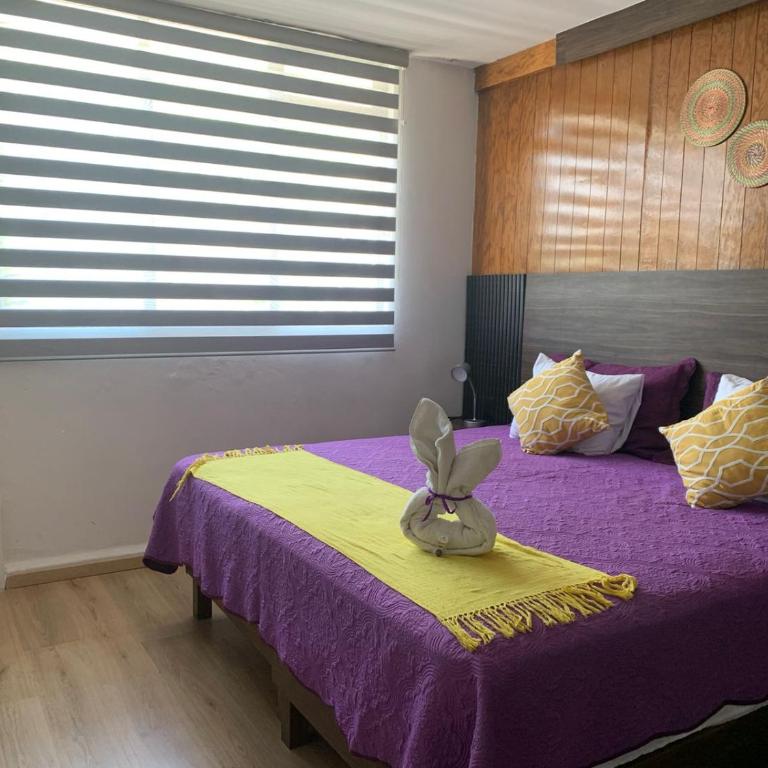 Pino Apartment - Apartamento de 2 dormitorios - 4
