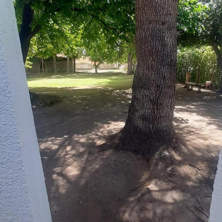 Lela colonia - Casa con 1 dormitorio - 23