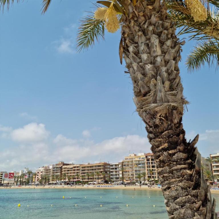 Apartamentos Palangres - Two-Bedroom Apartment - 21