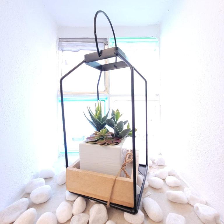 JEY STUDIO_INDEPENDENT SEAFRONT APARTMENT - Apartment mit 1 Schlafzimmer - 14