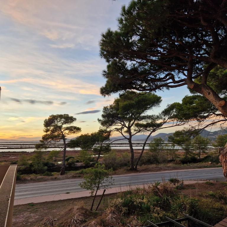 Les flamants roses de la Capte T2 - Appartement 1 Chambre - 20