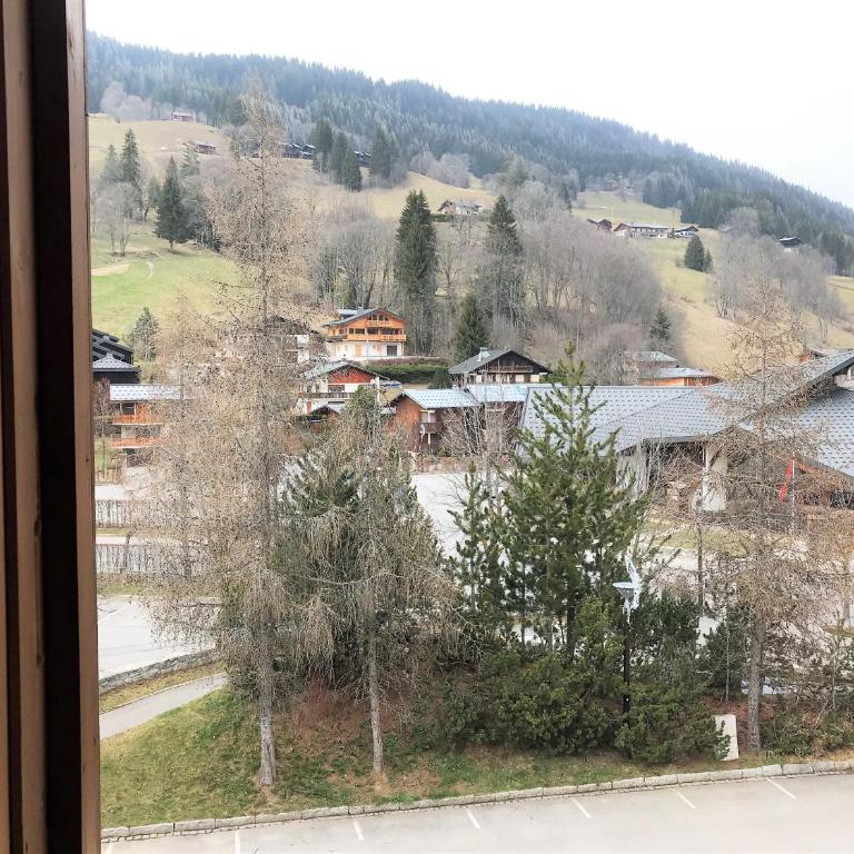 Le Lion dor 2- appartement- 4pers - centre statio - Apartment - 8