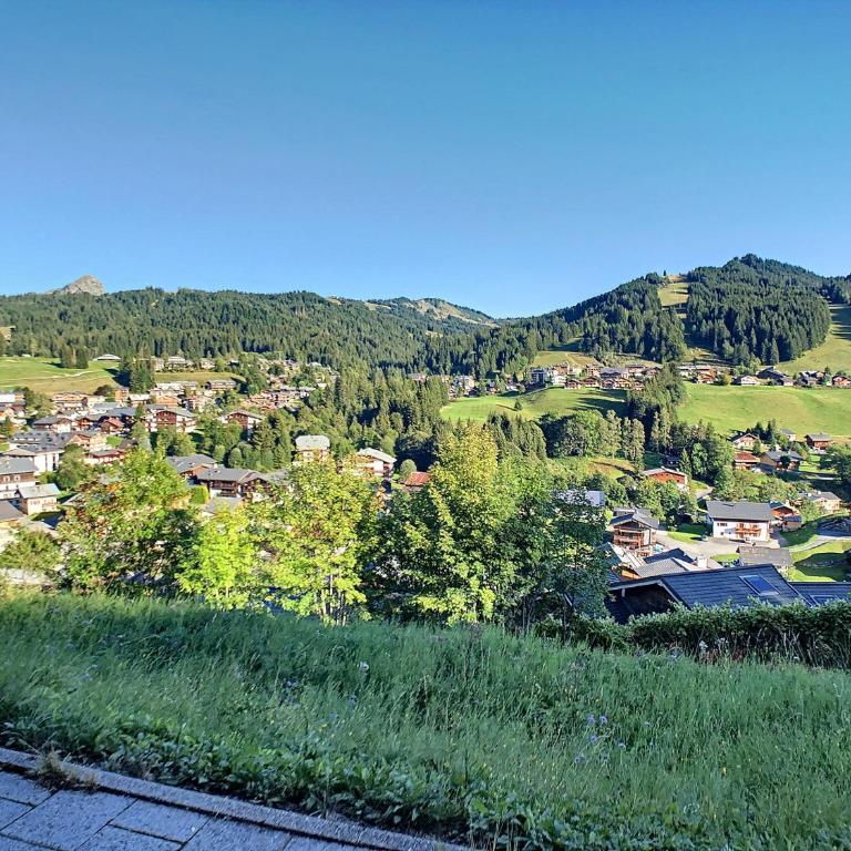Mapineige1-appartement-6pers-vue piste - Apartment - 5