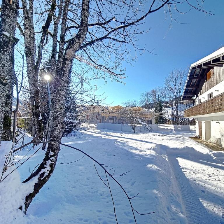 Chalet Framboisiere - 10 pers - proche piste - Chalet - 29
