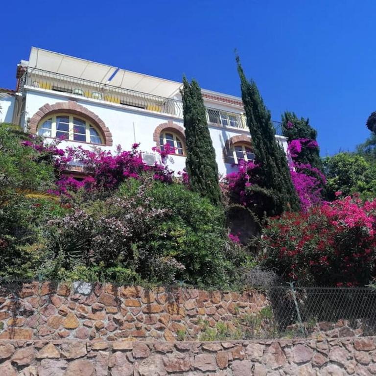 House with panoramic sea view, Le Trayas - Villa - 11