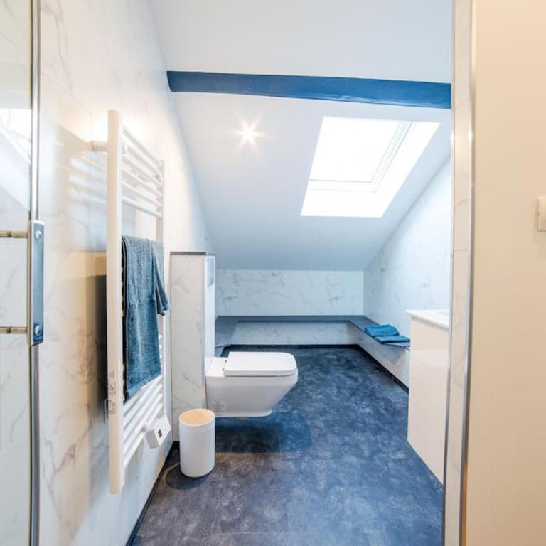 P'tit Dupont F3 Nancy Thermal Logements Insolites - Appartement 2 Chambres - 19