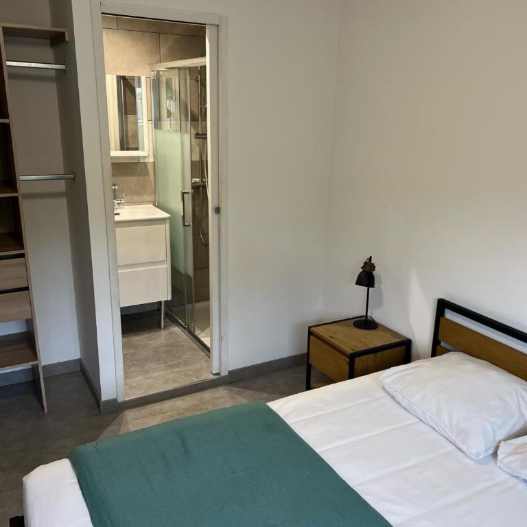 Chambre avec salle d'eau privée dans appartement partagé 200 m du tram - Chambre Double - 1