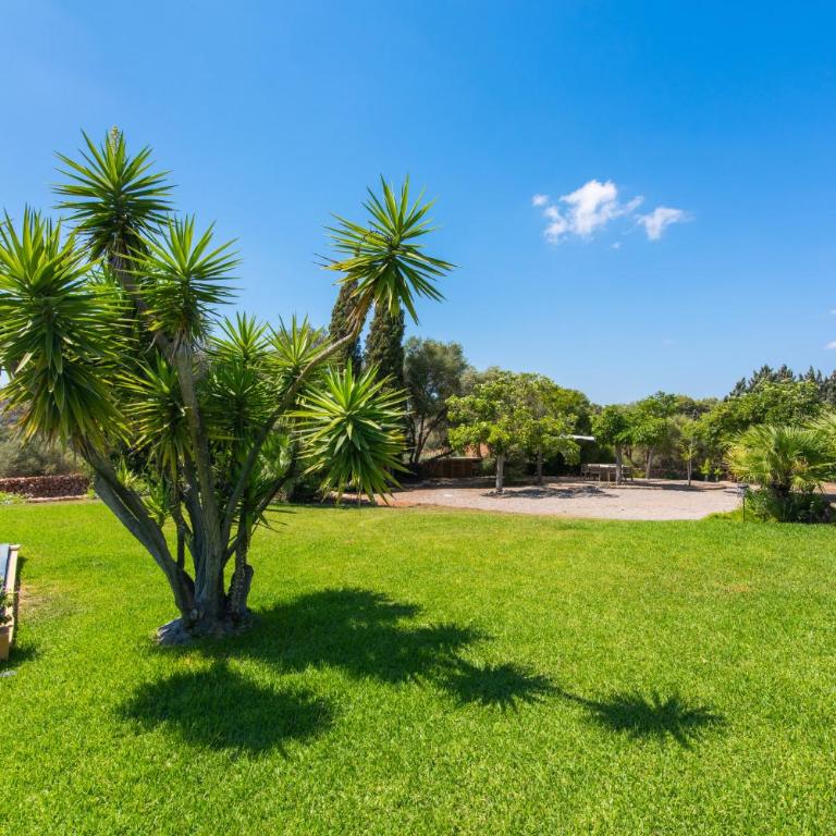 Manacor -2924-79 Mallorca - Casa Vacacional de 3 dormitorios - 4