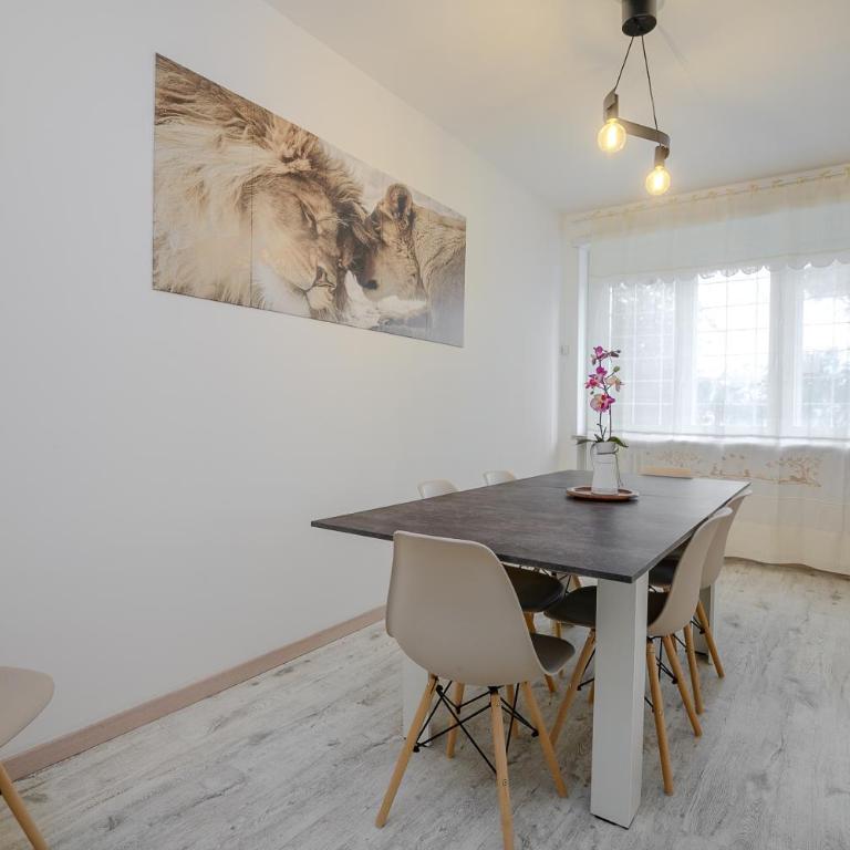 Ponte Milvio Apartment Flaminio - Two-Bedroom Apartment - 4