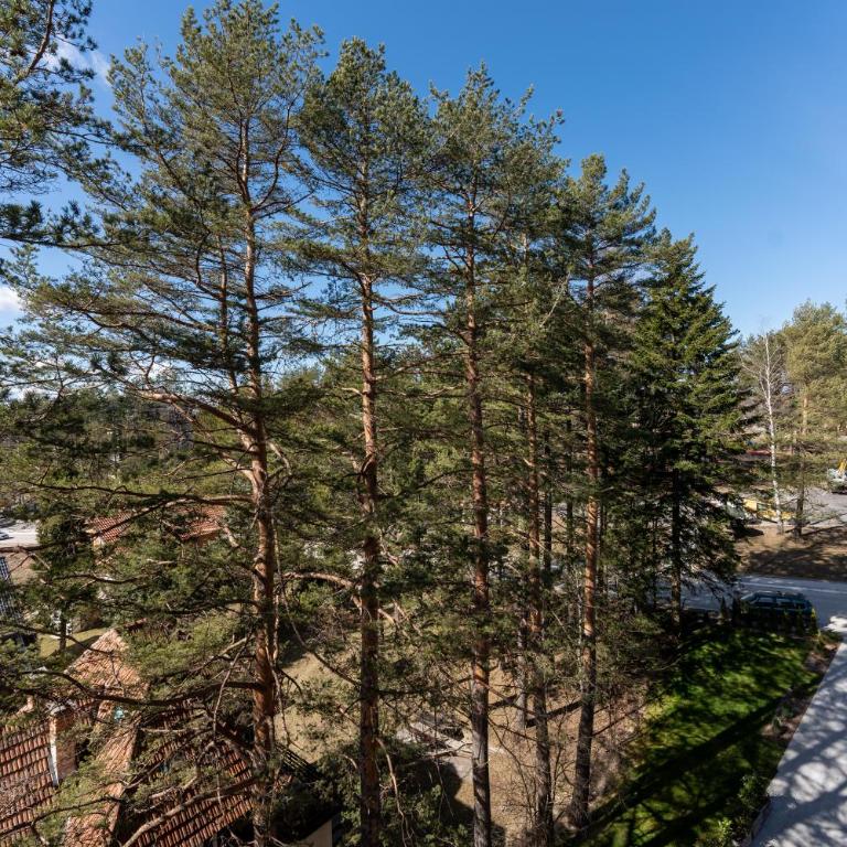 Sunny Forest - Apartman sa 1 Spavaćom Sobom - 27