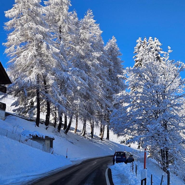 Sweet & Cosy Chalet in the heart of the Swiss Alps - Apartment mit 2 Schlafzimmern - 14