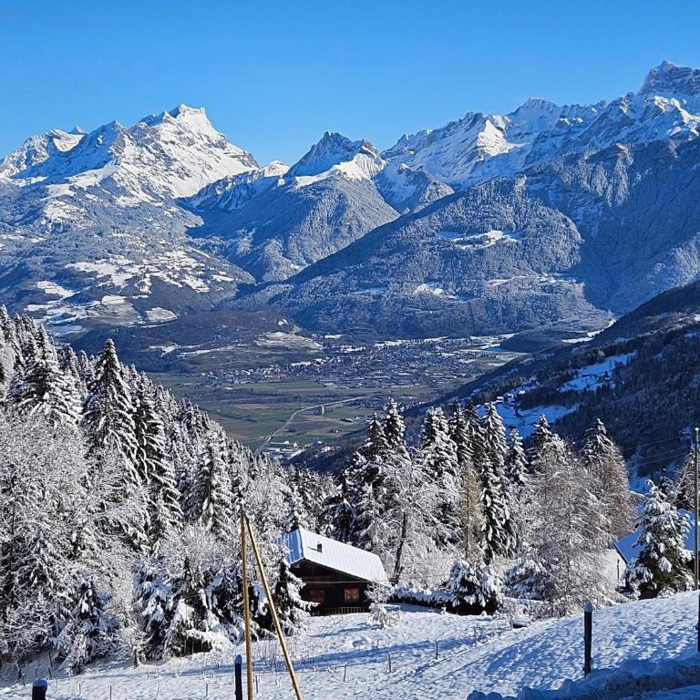 Sweet & Cosy Chalet in the heart of the Swiss Alps - Apartment mit 2 Schlafzimmern - 2