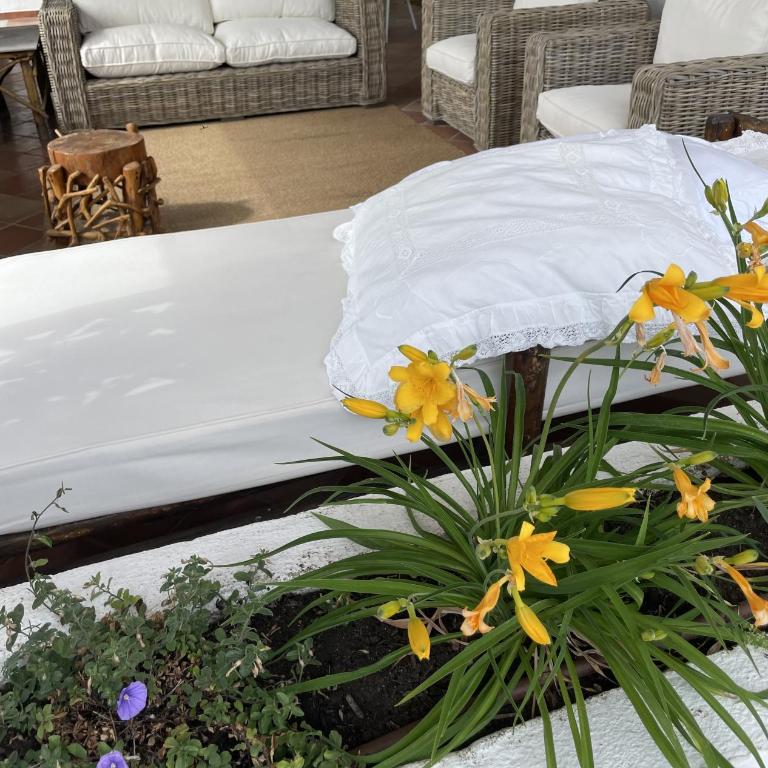 Villa Mare Tra Cielo e Mare - Villa con Vista Mare - 58