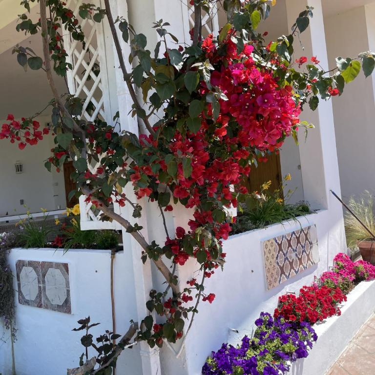 Villa Mare Tra Cielo e Mare - Villa con Vista Mare - 38