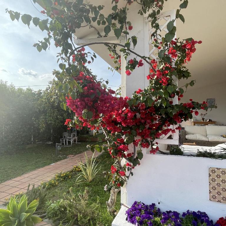 Villa Mare Tra Cielo e Mare - Villa con Vista Mare - 59