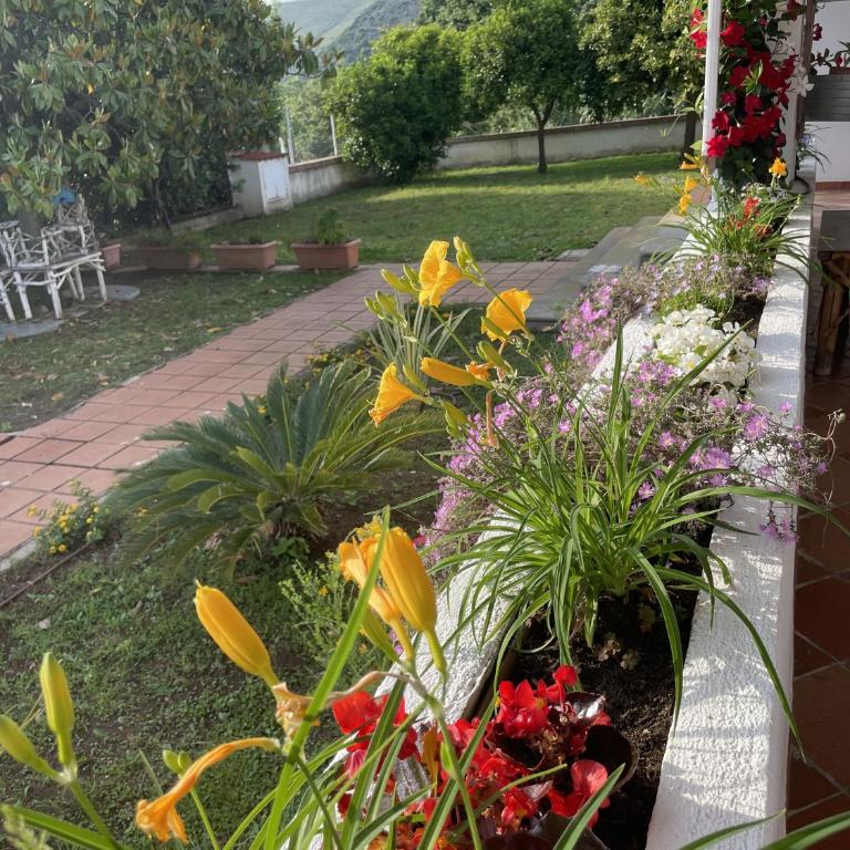Villa Mare Tra Cielo e Mare - Villa con Vista Mare - 69