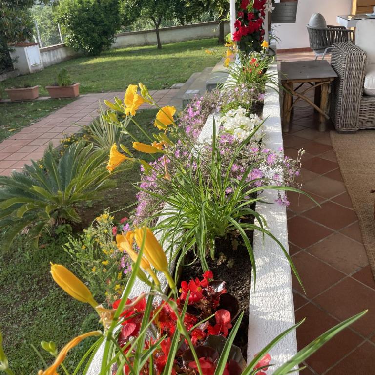 Villa Mare Tra Cielo e Mare - Villa con Vista Mare - 71
