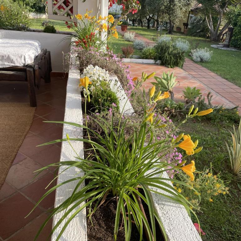 Villa Mare Tra Cielo e Mare - Villa con Vista Mare - 77