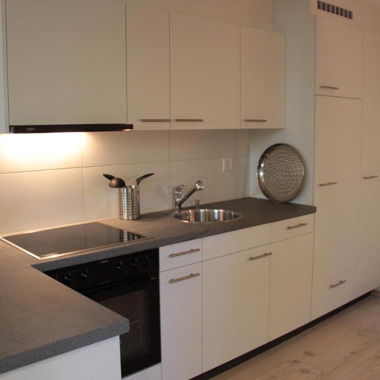 Swiss Borzoi House - Apartment mit Terrasse - 17