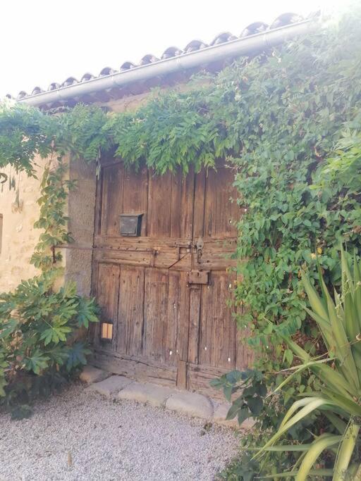 Bedoin Mas PASEVE - Maison 3 Chambres - 9
