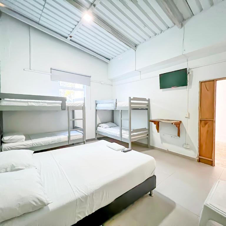 Hotel Palma Grande by Stanza - Habitación Familiar Estándar - 1