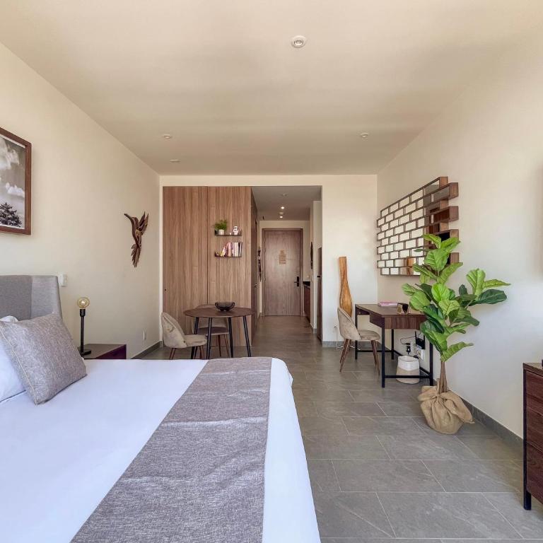 Mi Zona Lodging Reforma - Apartamento - 3