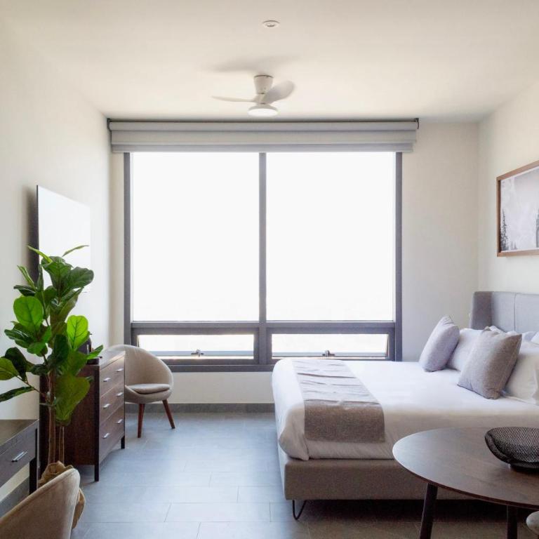 Mi Zona Lodging Reforma - Apartamento - 6
